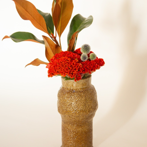 Roll With It - Coil Hand Building Workshop